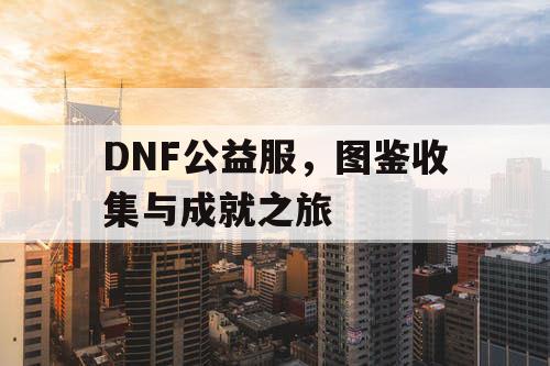 DNF公益服，图鉴收集与成就之旅