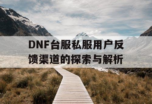 DNF台服私服用户反馈渠道的探索与解析