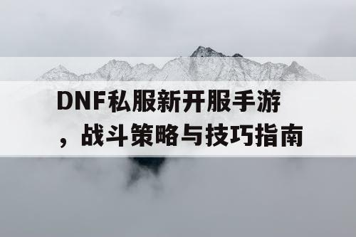 DNF私服新开服手游，战斗策略与技巧指南