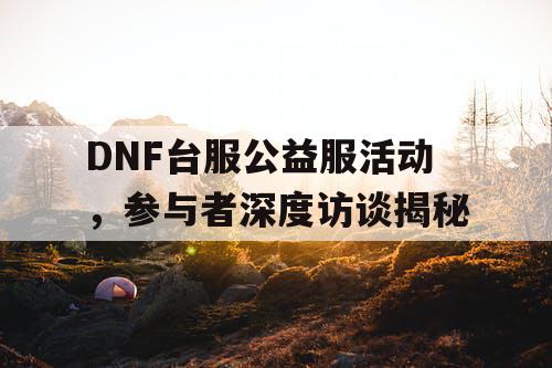 DNF台服公益服活动，参与者深度访谈揭秘