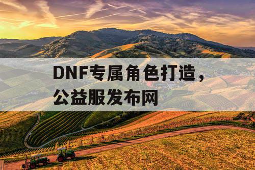 DNF专属角色打造，公益服发布网