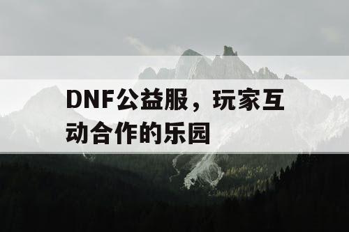 DNF公益服，玩家互动合作的乐园