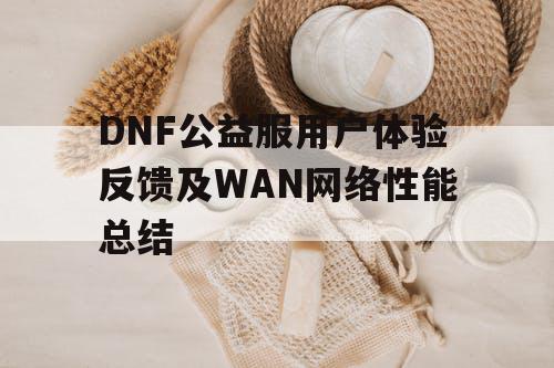 DNF公益服用户体验反馈及WAN网络性能总结