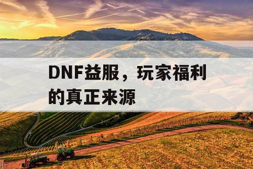 DNF益服	，玩家福利的真正来源