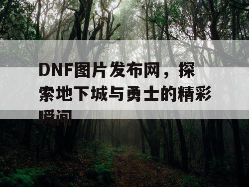 DNF图片发布网，探索地下城与勇士的精彩瞬间