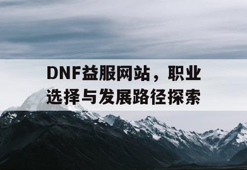 DNF益服网站，职业选择与发展路径探索