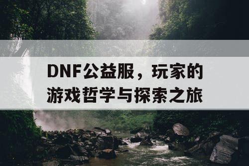 DNF公益服，玩家的游戏哲学与探索之旅