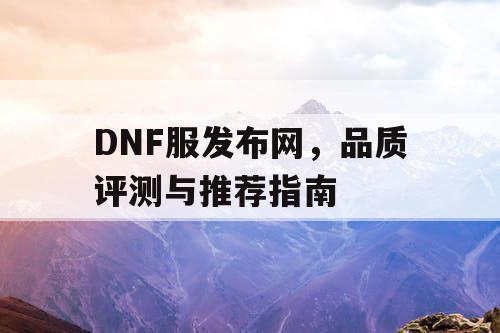 DNF服发布网	，品质评测与推荐指南