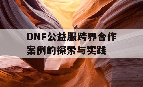 DNF公益服跨界合作案例的探索与实践