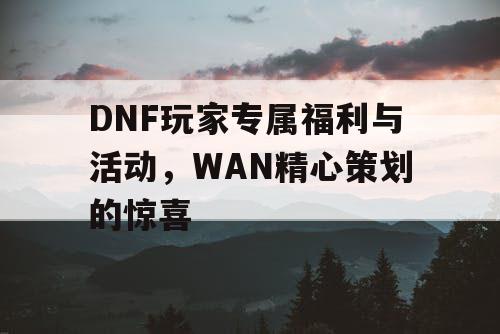 DNF玩家专属福利与活动	，WAN精心策划的惊喜