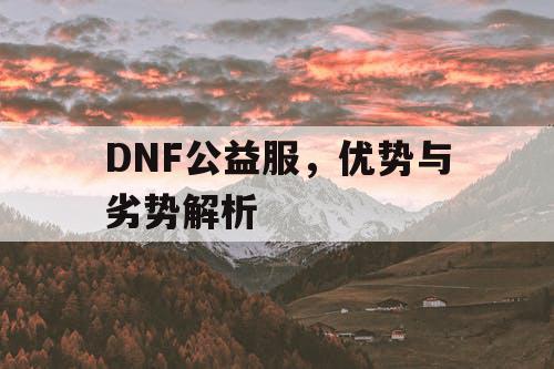 DNF公益服	，优势与劣势解析