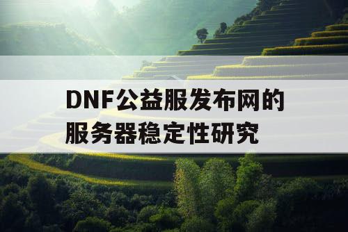 DNF公益服发布网的服务器稳定性研究