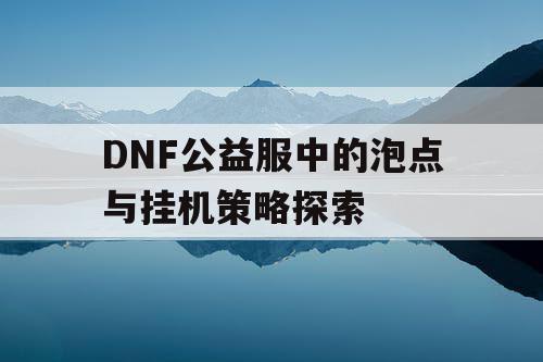 DNF公益服中的泡点与挂机策略探索