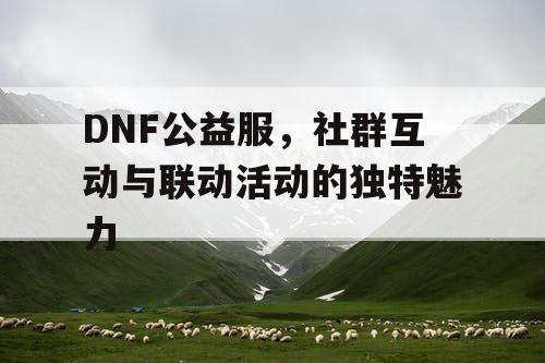 DNF公益服	，社群互动与联动活动的独特魅力