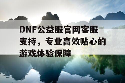 DNF公益服官网客服支持，专业高效贴心的游戏体验保障