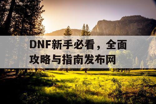 DNF新手必看，全面攻略与指南发布网