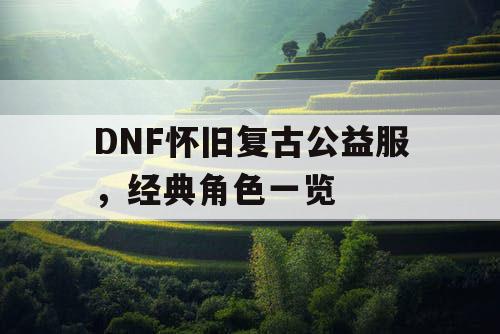 DNF怀旧复古公益服，经典角色一览