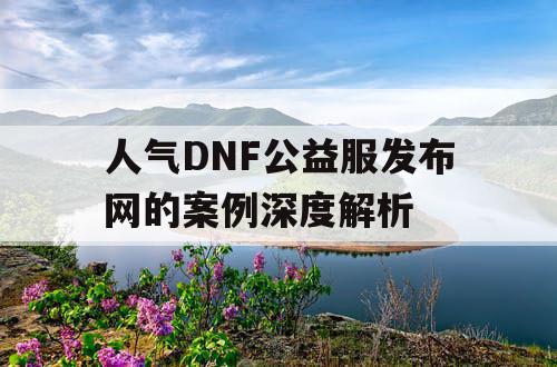 人气DNF公益服发布网的案例深度解析