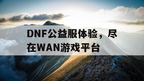 DNF公益服体验，尽在WAN游戏平台