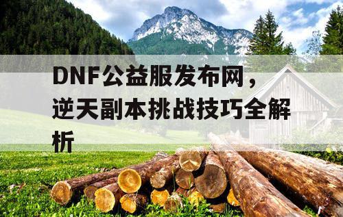 DNF公益服发布网，逆天副本挑战技巧全解析