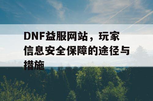 DNF益服网站，玩家信息安全保障的途径与措施