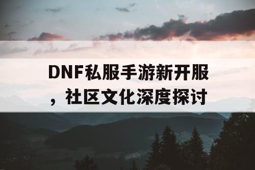 DNF私服手游新开服，社区文化深度探讨