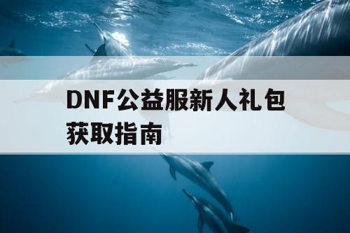 DNF公益服新人礼包获取指南