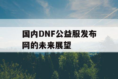 国内DNF公益服发布网的未来展望