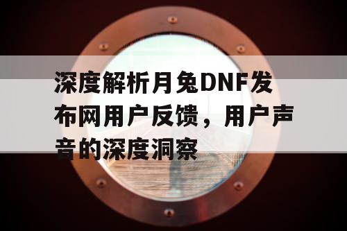 深度解析月兔DNF发布网用户反馈	，用户声音的深度洞察