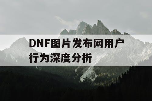 DNF图片发布网用户行为深度分析