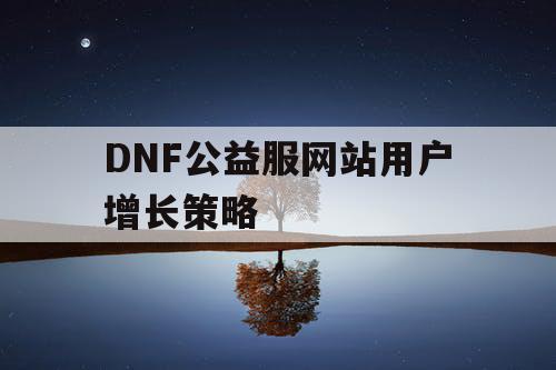 DNF公益服网站用户增长策略