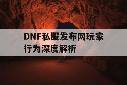 DNF私服发布网玩家行为深度解析