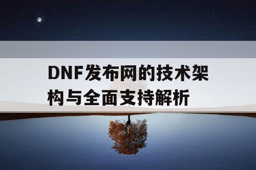 DNF发布网的技术架构与全面支持解析