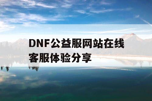 DNF公益服网站在线客服体验分享