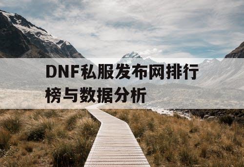 DNF私服发布网排行榜与数据分析