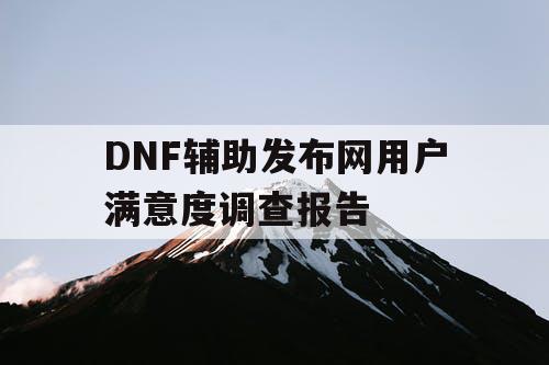 DNF辅助发布网用户满意度调查报告