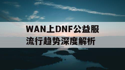 WAN上DNF公益服流行趋势深度解析