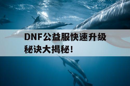 DNF公益服快速升级秘诀大揭秘！