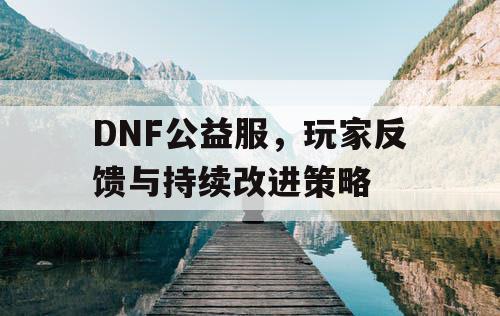 DNF公益服，玩家反馈与持续改进策略