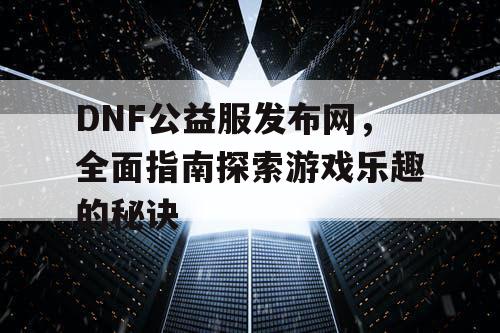 DNF公益服发布网，全面指南探索游戏乐趣的秘诀