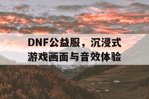 DNF公益服，沉浸式游戏画面与音效体验