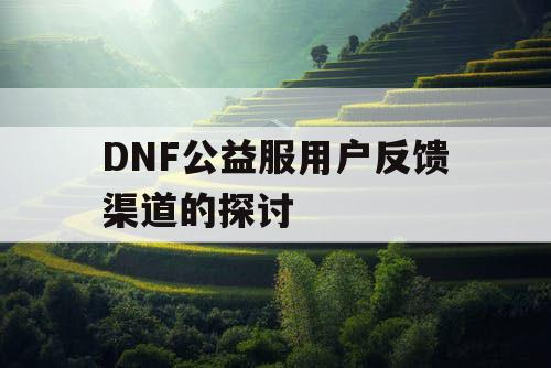 DNF公益服用户反馈渠道的探讨