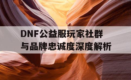 DNF公益服玩家社群与品牌忠诚度深度解析