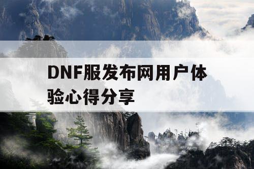 DNF服发布网用户体验心得分享