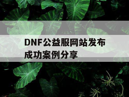 DNF公益服网站发布成功案例分享