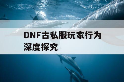 DNF古私服玩家行为深度探究