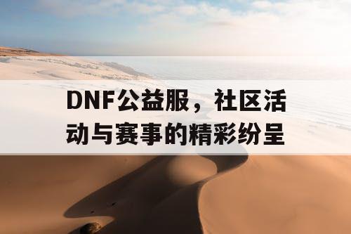 DNF公益服，社区活动与赛事的精彩纷呈