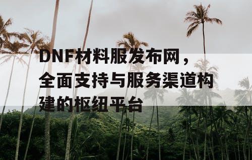 DNF材料服发布网，全面支持与服务渠道构建的枢纽平台