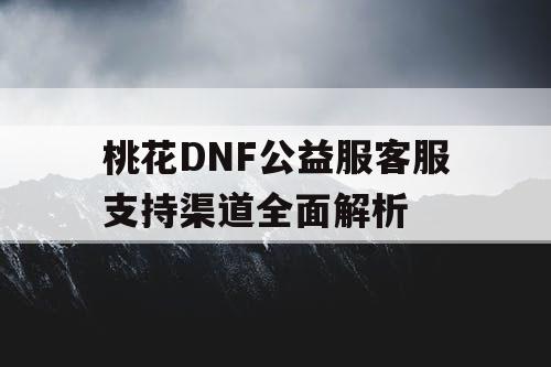 桃花DNF公益服客服支持渠道全面解析