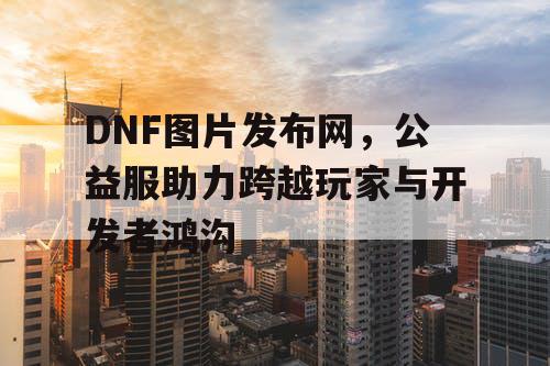 DNF图片发布网	，公益服助力跨越玩家与开发者鸿沟